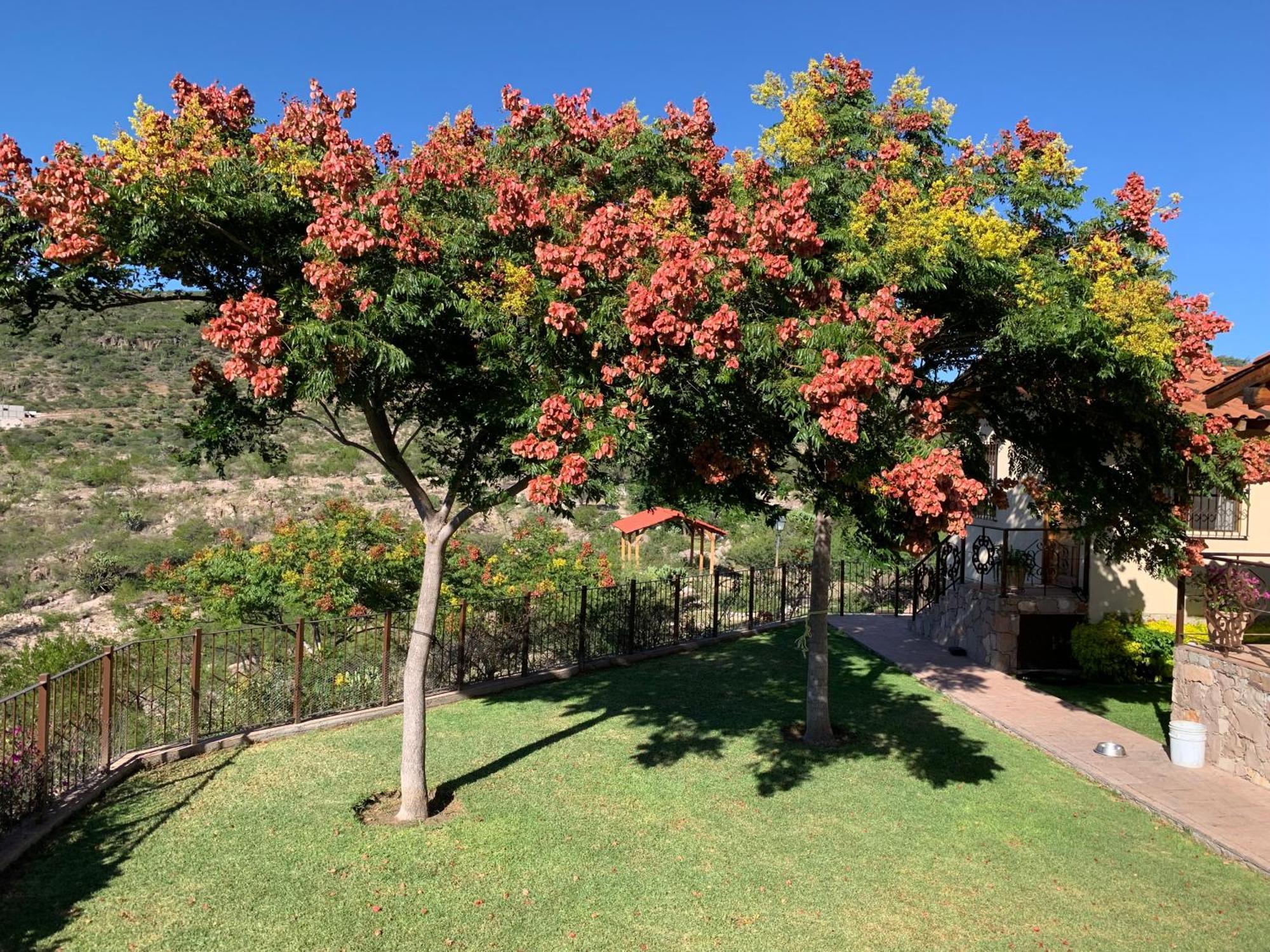 Villa Campestre La Soledad Colon 외부 사진